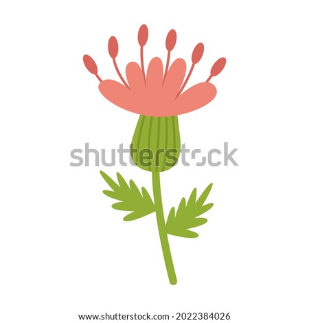 Thistle, a prickly honey plant, with a pink flower. Vector clipart. Cartoon illustration isolated on a white background.