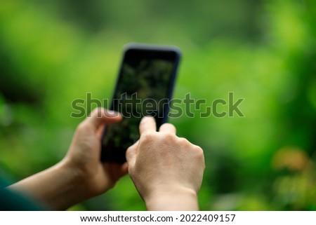 Hands using mobile phone taking picture in summer nature