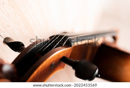 Close-up of the detailed elements of the viola - a musical instrument