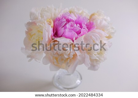 a bouquet of white and pink peonies with water drops