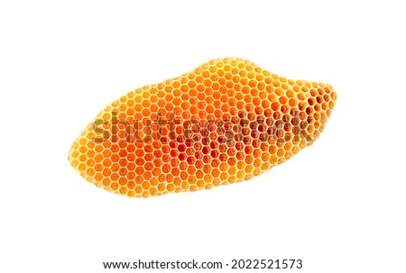 bee honeycomb with honey on a white background, bee honeycomb isolate Royalty-Free Stock Photo #2022521573