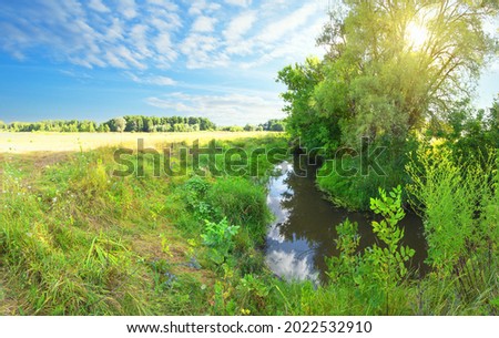 Small river on a green meadow on a sunny day