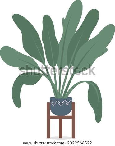 Potted tropical plant with large leaves semi flat color vector object. Full sized item on white. Low-maintenance houseplant isolated modern cartoon style illustration for graphic design and animation
