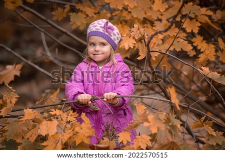 Beautiful little blonde girl, has happy emotions, dressed in purple coat, plays leaves. Child portrait. Lifestyle concept. Autumn time. Fashion kid style.