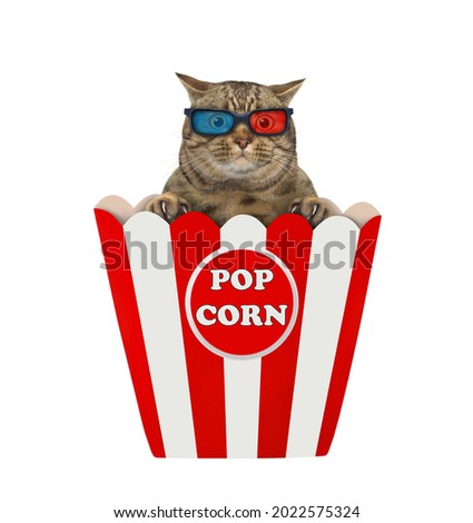 A beige cat in 3d glasses is inside a popcorn box. White background. Isolated.