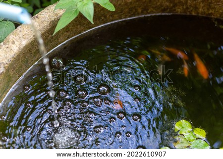 Air bubbles on the water surface in the fish pond from filling with clean water. Rinse the water in the fish pond after cleaning and add new water. Ideas for maintaining and cleaning fish pond