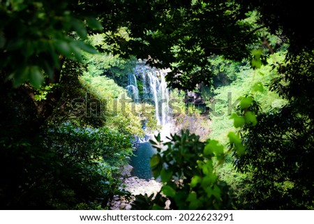 nature fresh leaves waterfall landmark