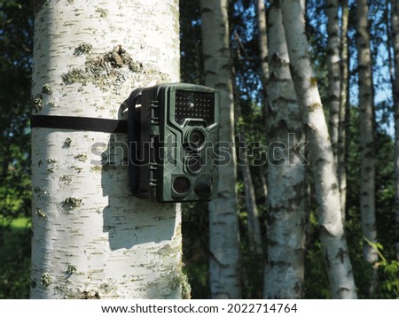 Trail camera on a tree. Photo and video trap. Animal monitoring device with motion sensor and night vision