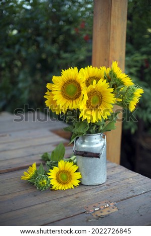 bouquet of yellow sunflowers in an aluminum can. village picture. 