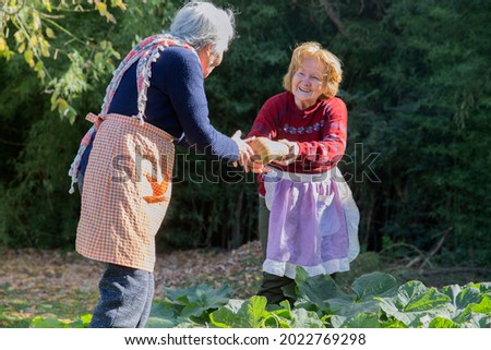 Two elderly women holding an organic pumpkin at vegetable garden.