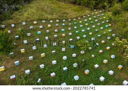 Aerial shot.A bee apiary with a group of hives is located in the forest and a small house . The view from the top.At the golden Hour, In Prahova Romania 