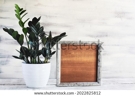 Potted ZZ Dowon Plant, Zamioculcas Zamifolia, houseplant with blank wood farmhouse sign or picture frame over a rustic table with white wooden background. Free space for text.