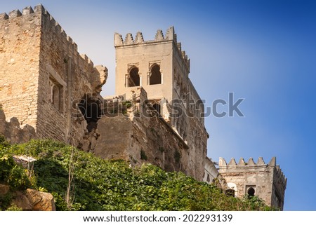 Ancient ruined fortress in Medina of Tangier, Morocco Royalty-Free Stock Photo #202293139
