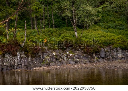 Rock outcrops on the shores of Loch Lomond in Scotland with the mountains of the Highlands visible in the background through the rain