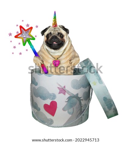 A dog pug unicorn in sunglasses with a magic wand is inside a round gift box. White background. Isolated.