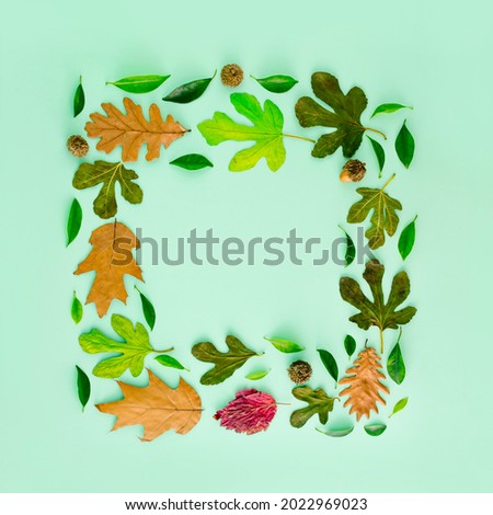 Creative space for copying in a cube. Autumn seasonal schedule with autumn fruits and leaves. Nature is flat. On a pastel, green background.