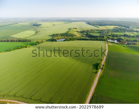 Slightly hilly agricultural fields with green unripe crops, wheat field and country road on a foreground, aerial view,
