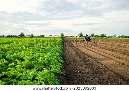 The farmer cultivates half of the field. Harvesting and destruction of tops after harvest. Freeing up the area for a new harvest. Milling soil. Plowing. Loosening surface, land cultivation. Farming Royalty-Free Stock Photo #2023092083