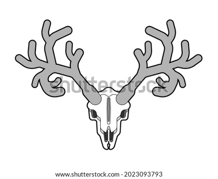 Deer skull isolated. Moose skeleton head. vector illustration