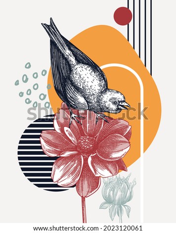 Collage style greenfinch vector illustration. Hand-sketched bird on dahlia flower. Trendy design with botanical, geometric shapes, and abstract elements. Perfect for print, poster, card, social media