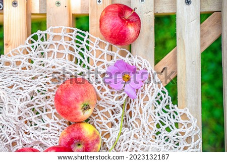 Delicious apples from the garden, still life apples on a rural grid