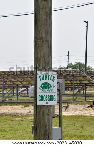 Turtle crossing sign on a wooden utility pole in front of a solar panel array