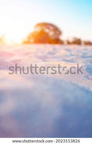Beach and sand grains close-up in sunset, summer and travel background concept