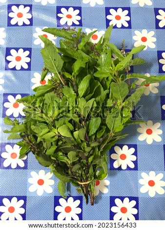 Basil is used to make delicious food