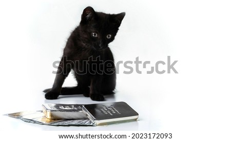 Rich kitten. A black kitten sits near gold and silver bars and cash dollars. On a white background. Selective focus.
