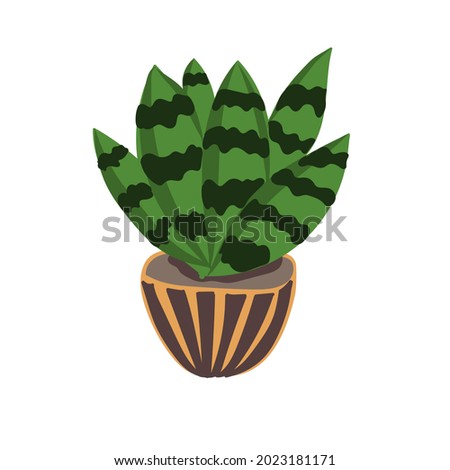 Hand-drawn succulent in pot in doodle style. Exotic and Tropical Plants - Cute design element for children's room, textile, fabric, wallpaper.
