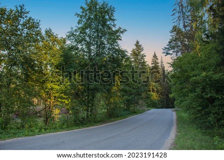 Beautiful summer landscape at sunset. A picturesque green forest and an asphalt road. Bright blue sky. Colorful nature.