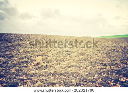 vintage photo of autumn field