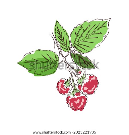 Abstract illustration of a fruit berry plant on a white background