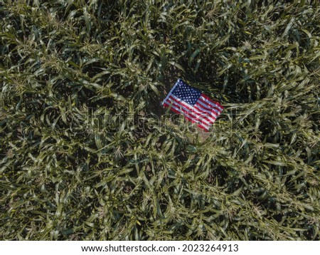 cornfield and the US flag in the middle. Happy labor day. 