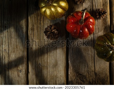 Halloween. Multicolored miniature pumpkins and cones on a wooden table. Minimalism. Halloween. Thanksgiving Day. Harvesting. Agriculture.