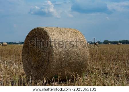 Haystacks are collected from the field in summer against the background of the sky with clouds