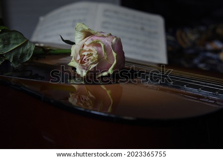 Guitar with notes and dry rose. Nostalgia romantic picture. Six-strings acoustic classic guitar picture or composition with flower