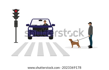 Male character with dog on leash, crosswalk, car with driver and traffic light with red signal on white background