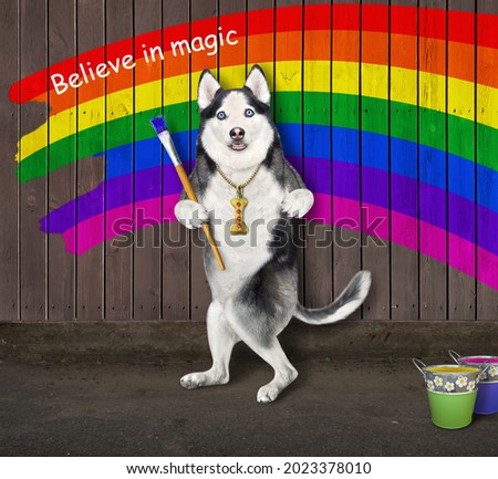 A dog husky with a paintbrush draws rainbow on a wooden fence. Believe in magic.