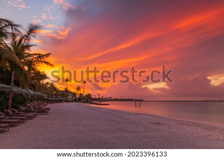 Dramatic sunset over the Indian Ocean on Crossroads Maldives resort, with cumulonimbus clouds and silhouette of a palm trees. July 2021, long exposure picture