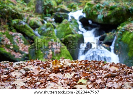 Autumn leaves on a stony foreground. Waterfall and green rocks in the background. Black forest in germany.