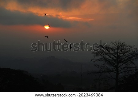 defocused, Beautiful view of the sunrise in the morning. Great for backgrounds and wallpapers. with space for text or image