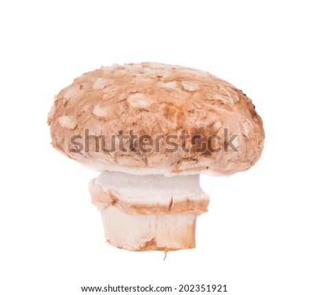 Champignon mushroom in the white background in  closeup