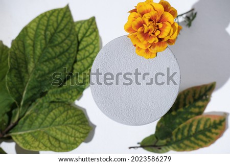 fall flower and leaves next to concrete or cement podium. mock up for product placement cosmetic product or food. autumn background display