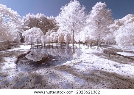 A garden photographed by infrared light is like a snowy world.