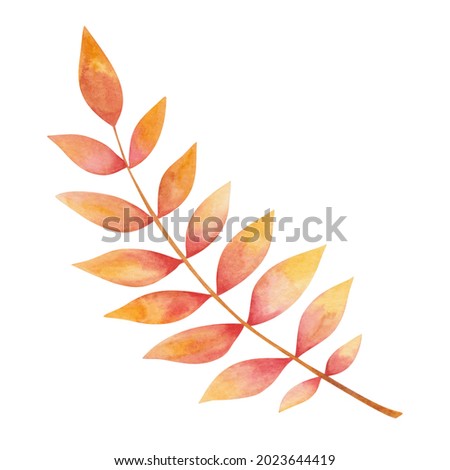 Watercolor illustration hand drawn tree leaves in autumn red and yellow colors isolated on white. Forest macro clip art elements for fall season fabric textile, design postcards, poster decorative