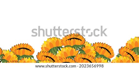 Happy birthday, holiday, celebration greeting and invitation card. Colorful floral banner with sunflowers on light background. Layout template. Modern floral summer composition. Copy space.