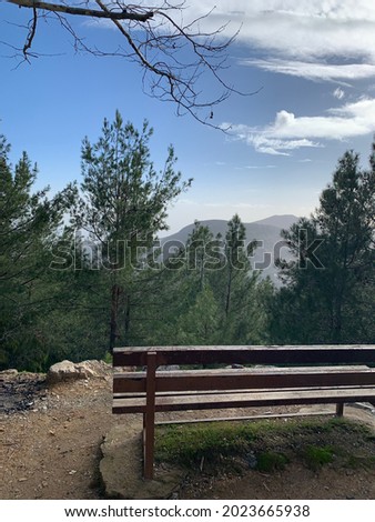The bench in Turkish forest 