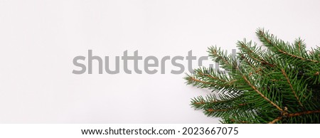 Christmas tree branch on a white background blank. Copy space. Business or greeting card. New year decoration element. Holiday banner. Concept. Gift certificate or envelope. Minimalist mockup design.