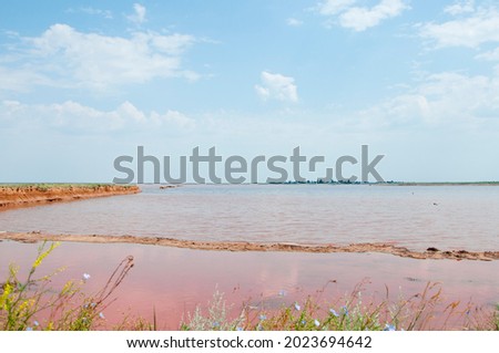 view of the salt-covered shore of Pink Lake.
